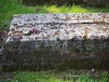 image of grave number 829518